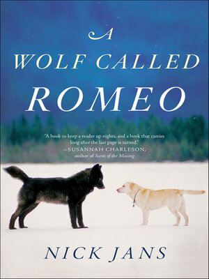 cover image of A Wolf Called Romeo